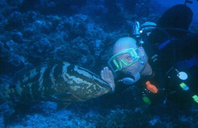 Spear Fishing Citrus County